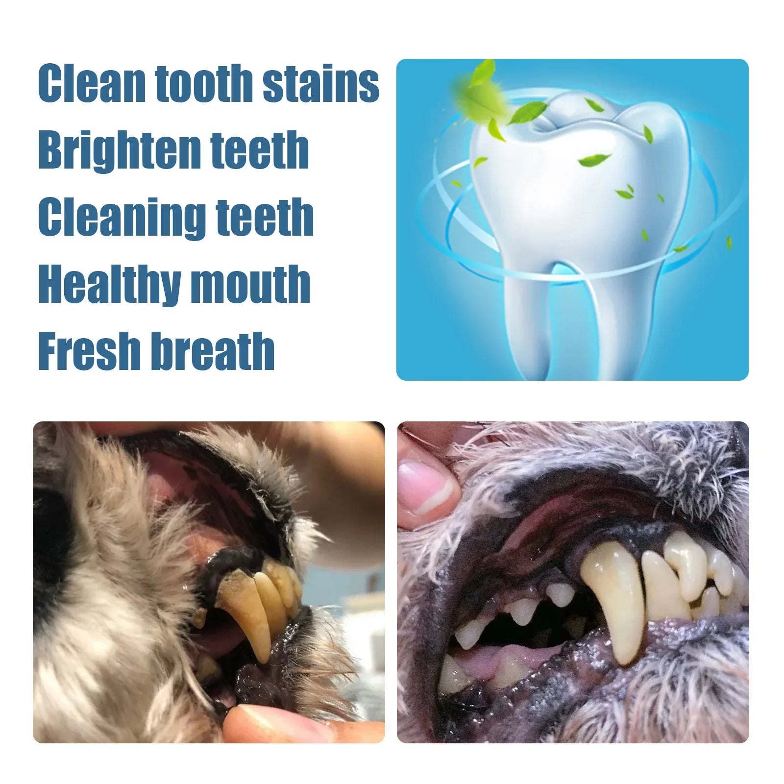 Pet Teeth Cleaner Pen Cats Tartar Dental Stones Remover Fresh Bad Breath Deodorant Reduce Tooth Calculus Dog Oral Cleaning Pen